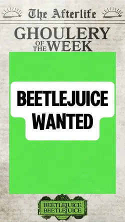 BEETLEJUICE WANTED