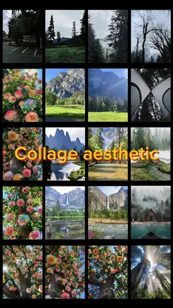 Collage aesthetic