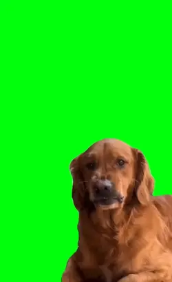 whats that