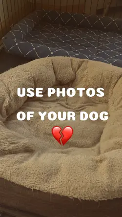 Try this on your dog