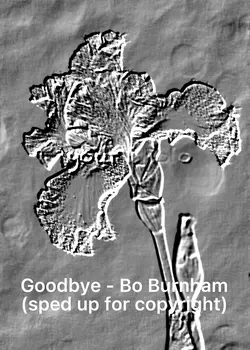 Goodbye - Bo Burnham