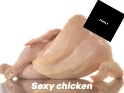 Sexy Chicken