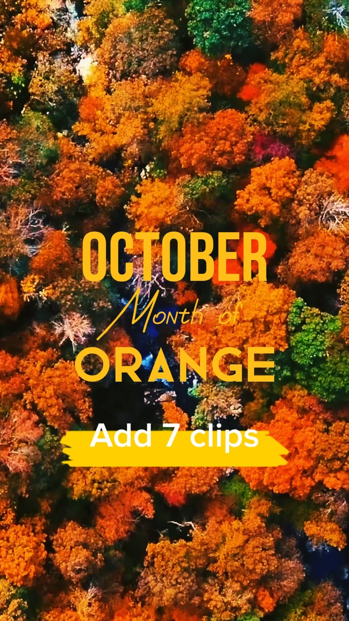 Month of Orange