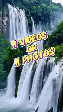 11videos/11photos
