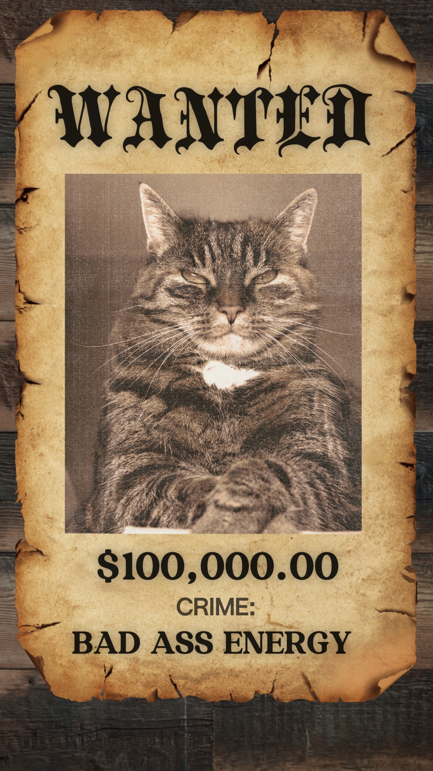 Wanted Poster Memes - Pippit