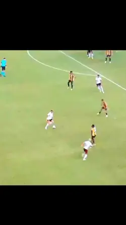 LUIZ ARAUJO XAMAZONA