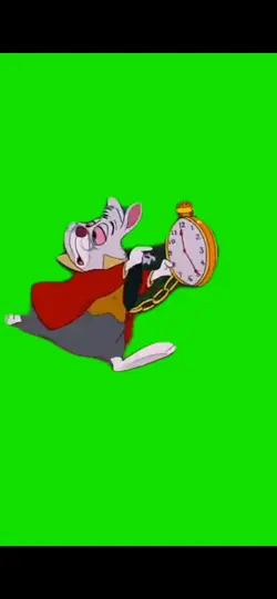 White Rabbit