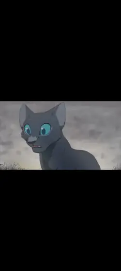 warrior cats edit