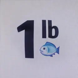 1 pound fish trend