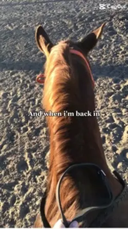 Back in the saddle