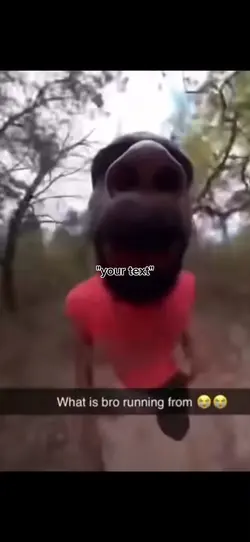 funny meme