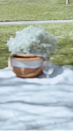 Gender Reveal 2025