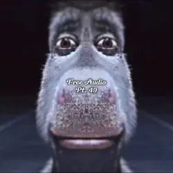 Free Audio 49