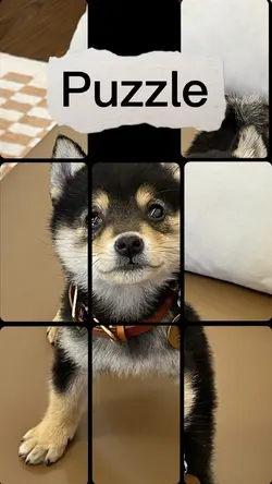 Puzzle