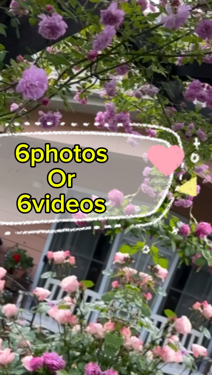 6 fotos / videos