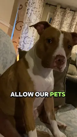 Why dog not speak🥹🥹🥹