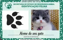 Rg do gatinho 