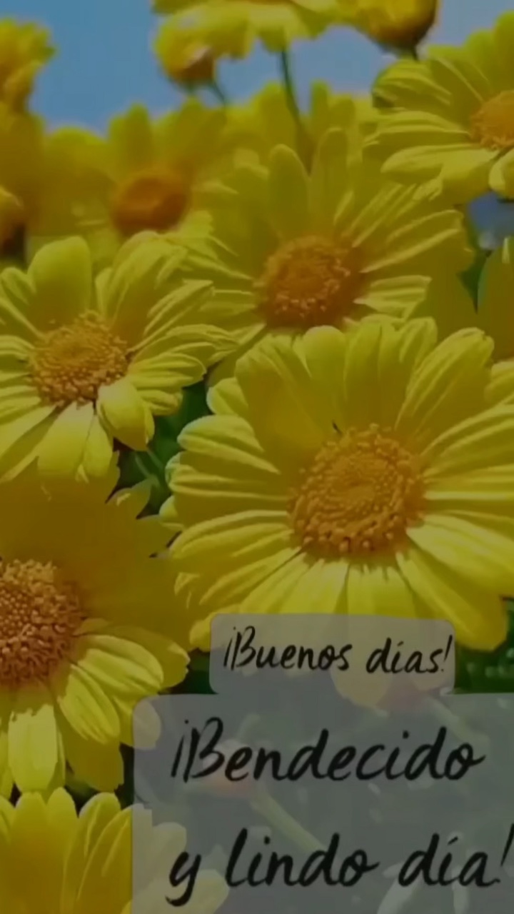 🌸💐🌸🌸