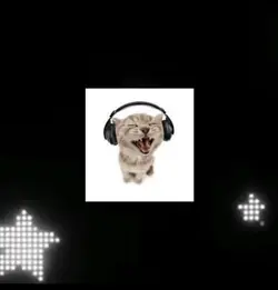 my first edit! KITTY