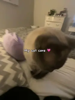 My cat core