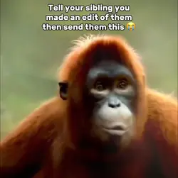 Sibling Edit