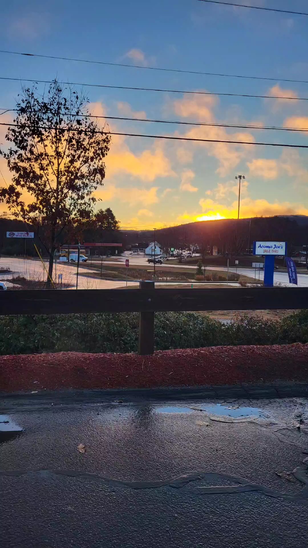 rest easy sweet girl