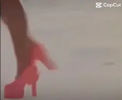Pigeon dancing