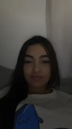 novo modelo