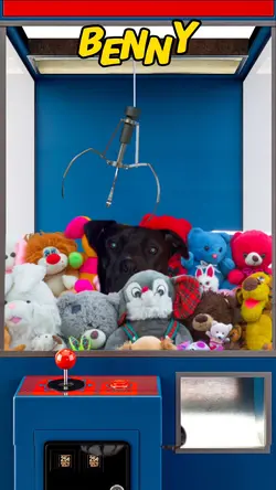 Claw Machine