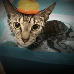Nckha in a Bath🥺🧼🧽🫧