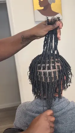 Small Starter locs