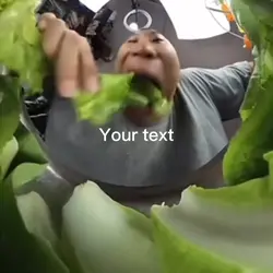 nom nom