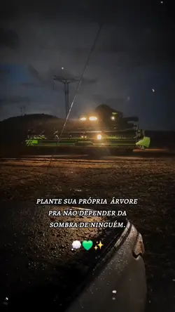 plante sua árvore