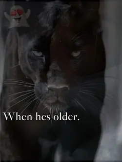 Panthers or Cougars 