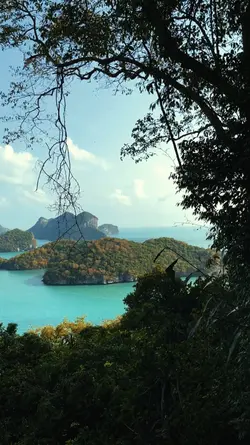 nature vibes/melodia