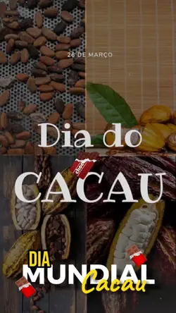Dia do Cacau.