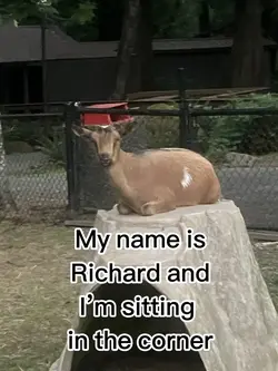 My name’s Richard 😋