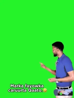 Green screen 🤣