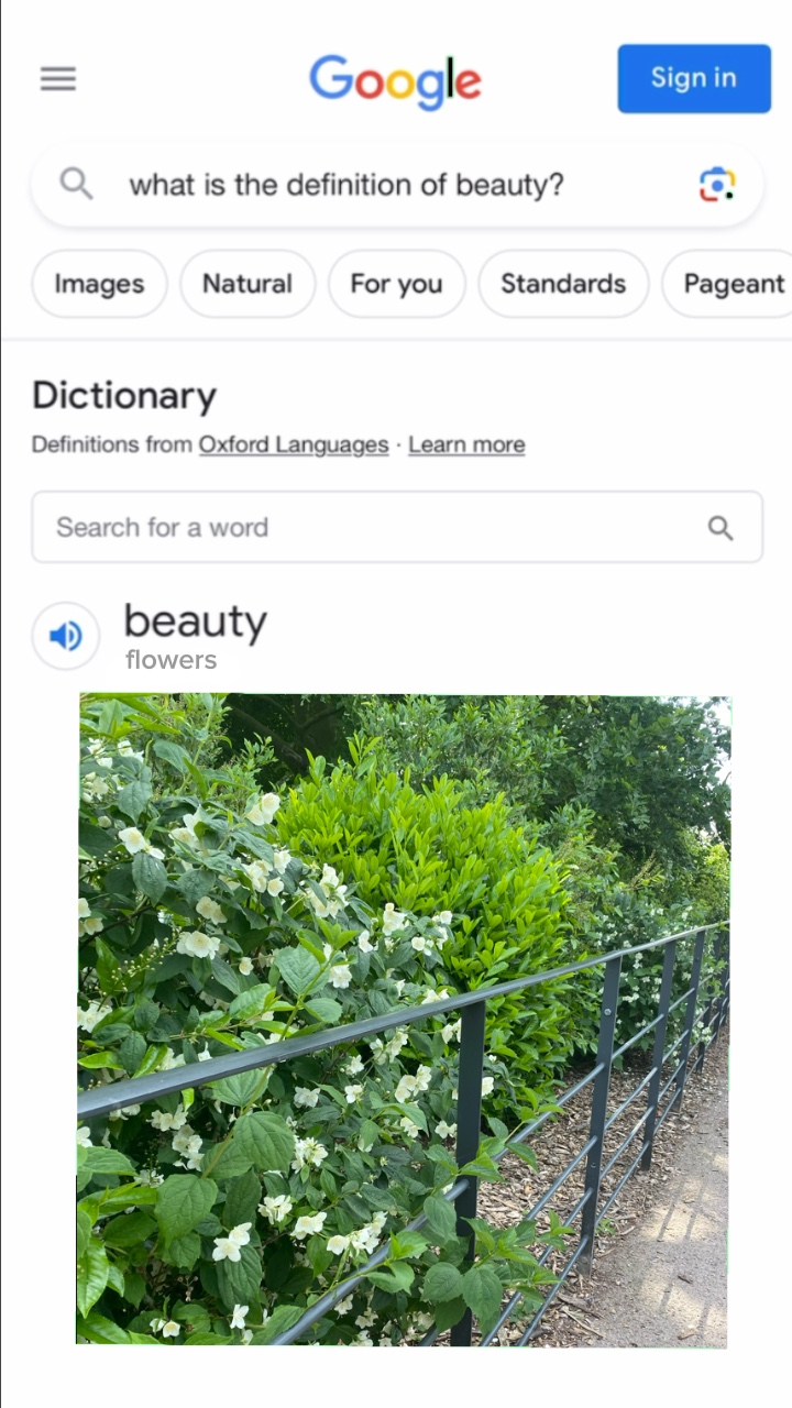 Definition von Schönheit