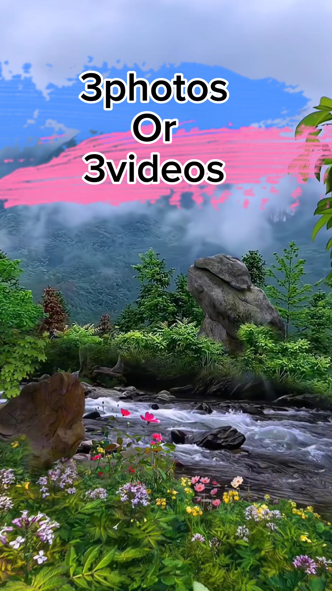 3 fotos / videos