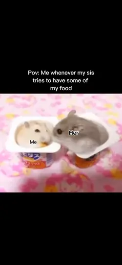 Sister meme