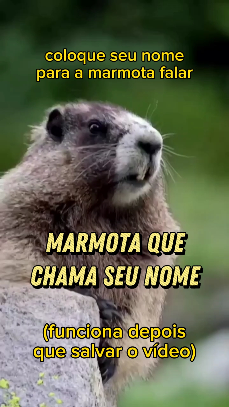 marmota chama nome