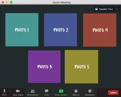 Character Zoom Call
