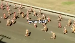 T-Rex run