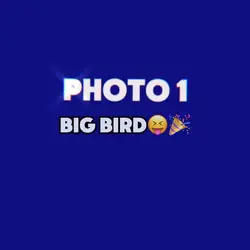Big bird