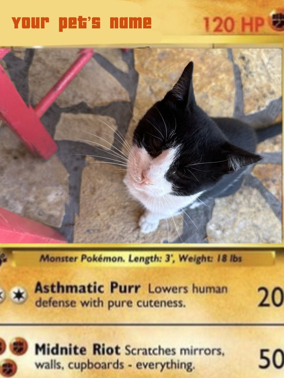 Pet Pokémon card