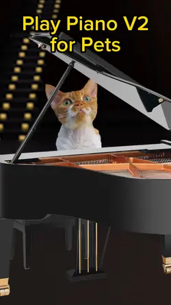 Your Pet Plays Piano