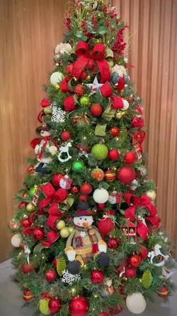 Merry Christmas 🎄🏆