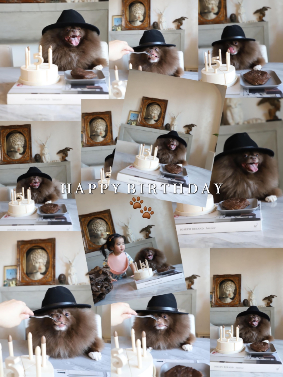 hpbd mein Hund