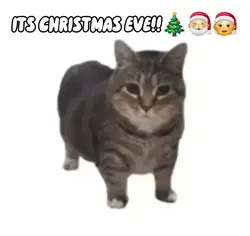 CHRISTMAS EVE